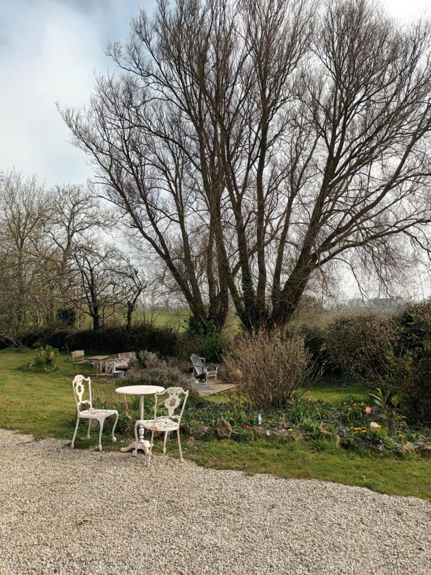 Au Domaine De Sophie Chambres D'Hotes Crasville  Bagian luar foto